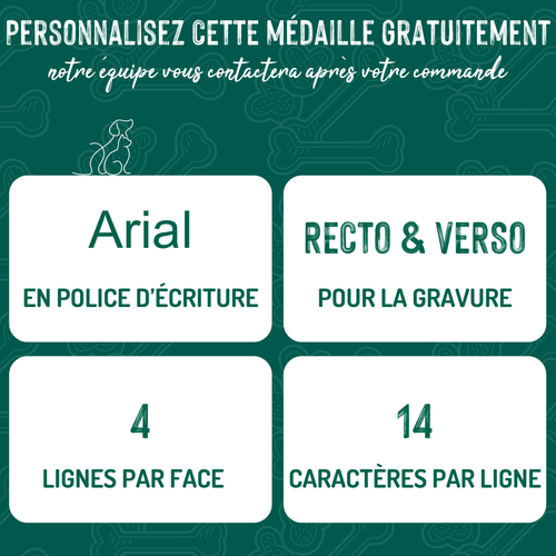 Visuel 2 du produit Médaille basic petit cercle pour chien en laiton doré