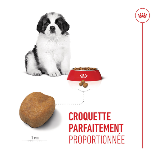 Visuel 4 du produit Croquettes pour chiot Royal Canin Giant - 15 kg