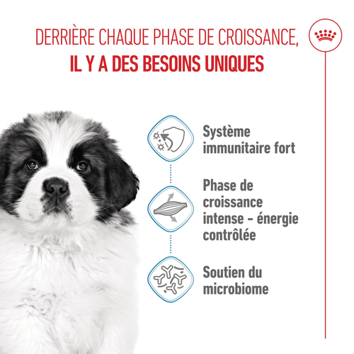Visuel 7 du produit Croquettes pour chiot Royal Canin Giant - 15 kg