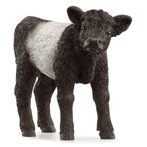 Visuel 1 du produit Figurine Veau Galloway Schleich