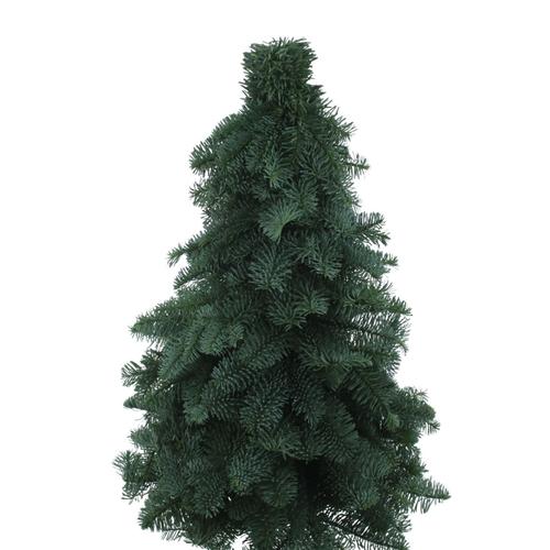 Visuel 1 du produit Sapin naturel de table sans pied Nobilis coloris vert – 40 cm