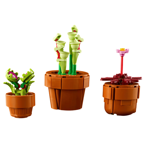 Visuel 4 du produit Plantes miniatures LEGO® Botanical Collection 18 ans et plus - 758 pièces
