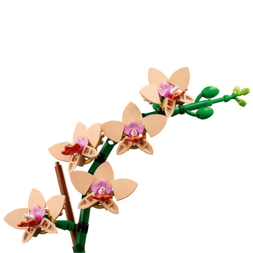 Visuel 2 du produit Orchidée miniature LEGO® Botanical Collection 18 ans et plus - 608 pièces