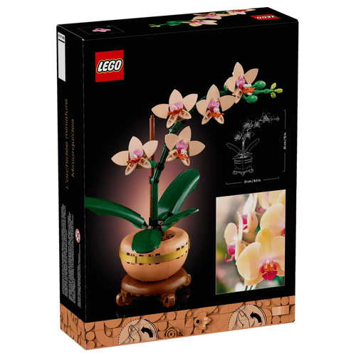 Visuel 4 du produit Orchidée miniature LEGO® Botanical Collection 18 ans et plus - 608 pièces