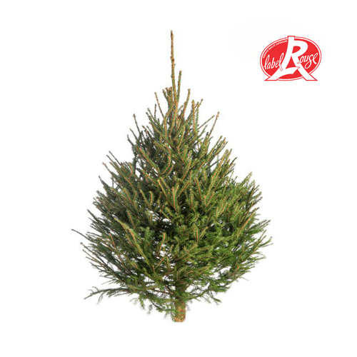 Visuel 1 du produit Sapin de Noël naturel coupé Label Rouge Picea Excelsa - de 175 à 200 cm