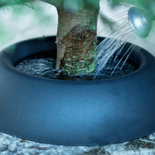 Visuel 2 du produit Support à réserve d’eau pour sapin coupé FRESCHER TREE® - Ø 36cm - pour un sapin de 100 à 175 cm de haut
