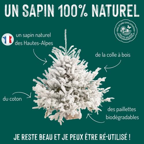 Visuel 4 du produit Sapin de Noël naturel blanc effet enneigé Glacé Robin®