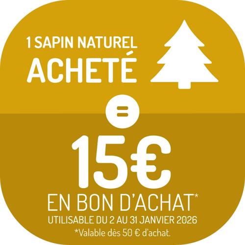 Visuel 3 du produit Sapin de Noël naturel coupé Nordmann 150 à 175 cm