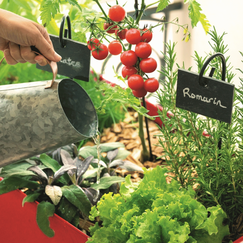 Visuel 4 du produit Terreau potager et plantes aromatiques botanic®