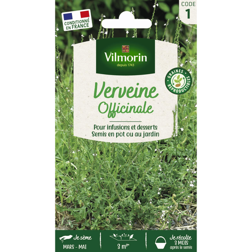 Visuel 1 du produit Verveine officinale Vilmorin - graines à semer