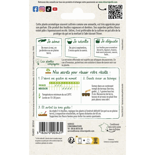 Visuel 2 du produit Verveine officinale Vilmorin - graines à semer