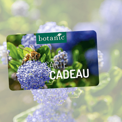 Visuel 3 du produit Carte cadeau botanic®