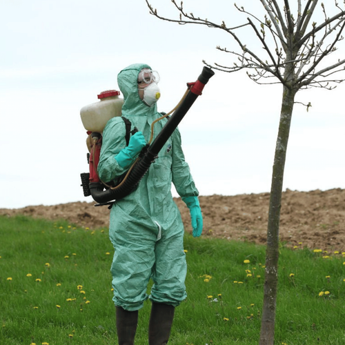 Visuel 2 du produit Gants de jardinage spécial traitement coloris vert