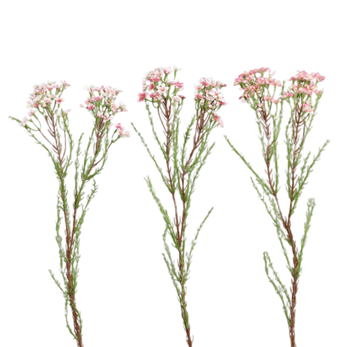 Visuel 1 du produit Fleur de cire artificielle rose - 60 cm