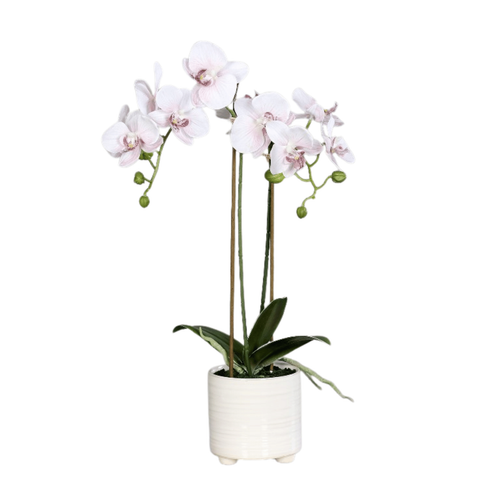 Visuel 1 du produit Orchidée artificielle rose clair à 2 panicules en pot blanc - 52 cm