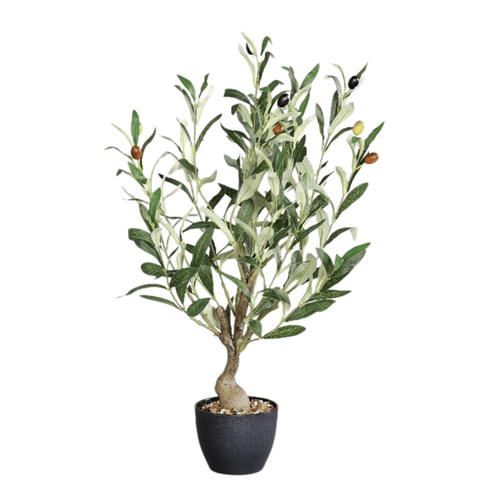 Visuel 1 du produit Olivier artificiel en pot - 60 cm