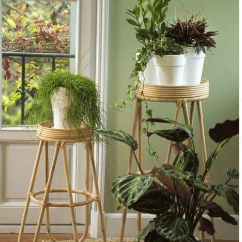 Visuel 3 du produit Terreau plantes d'intérieur 15 L