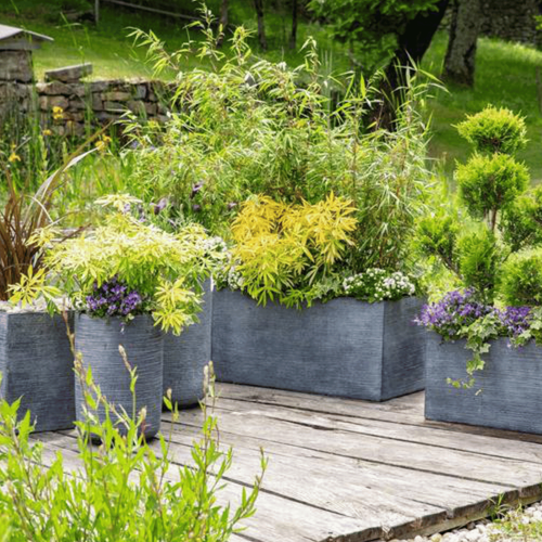 Visuel 2 du produit Terreau arbres et arbustes botanic®