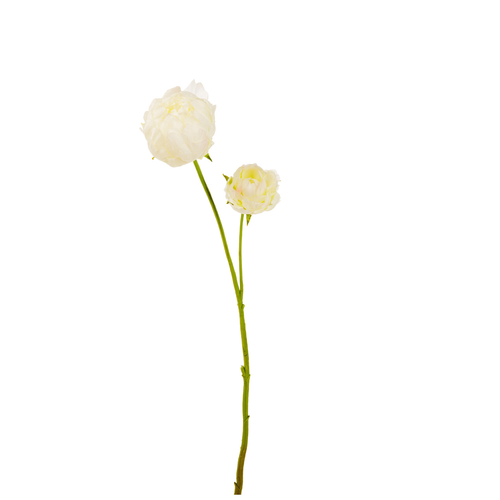 Visuel 1 du produit Pivoine artificielle blanche à 2 fleurs - 66 cm