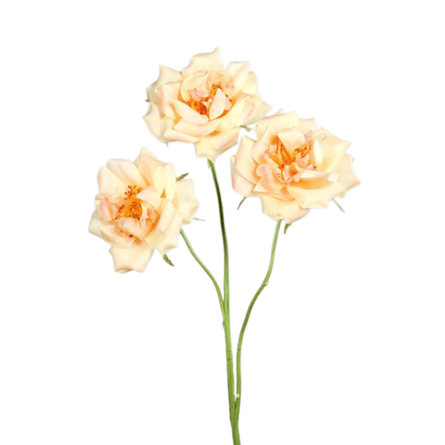 Visuel 1 du produit Branche de rose artificielle pêche à 3 fleurs - 65 cm