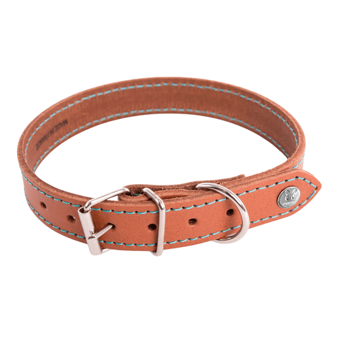 Visuel 1 du produit Collier pour chien en cuir coloris cognac turquoise Martin Sellier Flash - taille 31/62