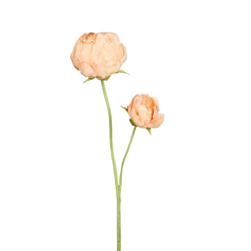 Visuel 1 du produit Pivoine artificielle pêche à 2 fleurs - 66 cm