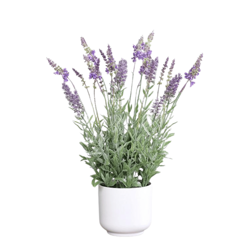 Visuel 1 du produit Lavande artificielle violette en pot blanc - 47 cm
