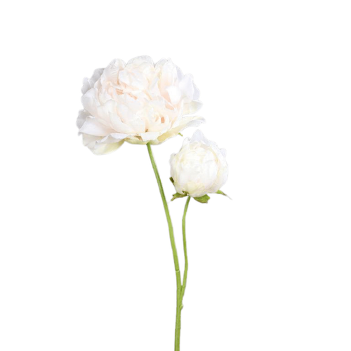 Visuel 1 du produit Pivoine artificielle crème avec 1 fleur et 1 bouton - 67 cm