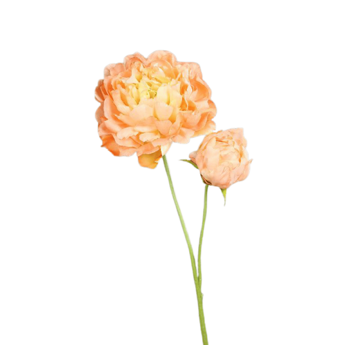Visuel 1 du produit Pivoine artificielle pêche avec 1 fleur et 1 bouton - 67 cm
