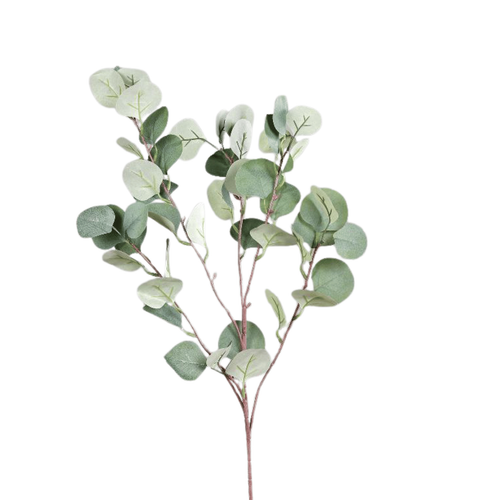 Visuel 1 du produit Branche d’eucalyptus artificielle - 88 cm