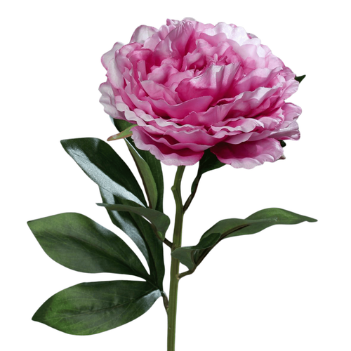 Visuel 1 du produit Pivoine artificielle en tige coloris lavande  - 63 cm