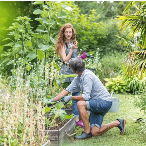 Visuel 2 du produit Bottillons Blackfox Oregon Noir