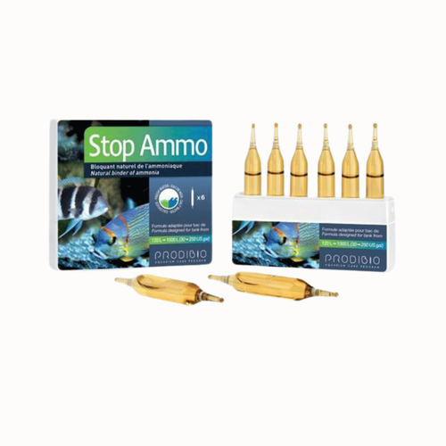 Visuel 1 du produit PRODIBIO - Stop Ammo 6 ampoules