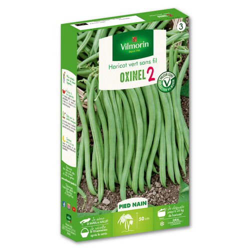 Visuel 1 du produit Graines haricot vert sans fil Oxinel 2 Vilmorin - graines à semer