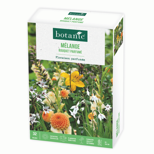 Visuel 1 du produit Boite de bulbes de fleurs en mélange bouquet parfumé botanic® – 32 bulbes