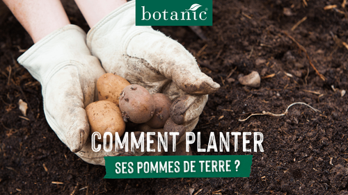 Miniature homme qui tient des pommes de terre dans ses mains