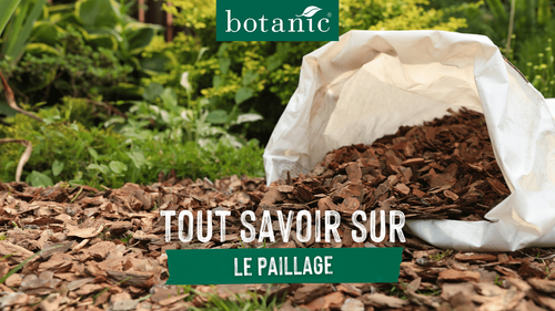 Miniature sac de paillage ouvert dans un jardin