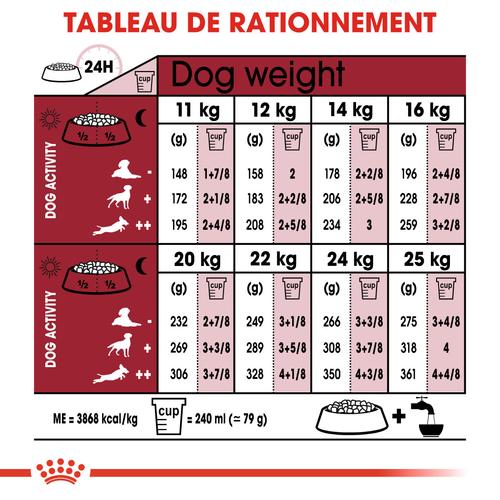 Visuel 7 du produit Croquettes pour chien senior de taille moyenne Royal Canin Medium Ageing 10+ - 15 kg