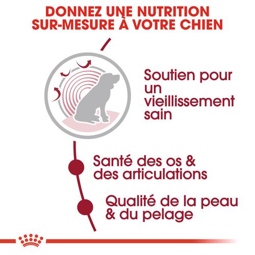 Visuel 9 du produit Croquettes pour chien senior de taille moyenne Royal Canin Medium Ageing 10+ - 15 kg