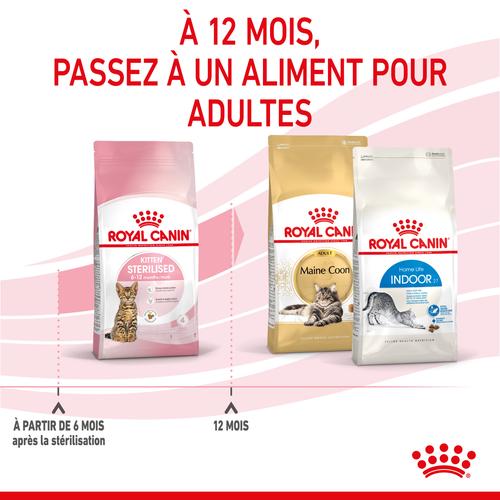 Visuel 6 du produit Croquettes pour chaton stérilisé Royal Canin Kitten Sterilised - 2 kg
