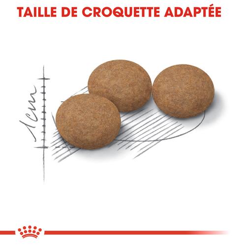 Visuel 3 du produit Croquette pour chat mature stérilisé Royal Canin - 2 kg