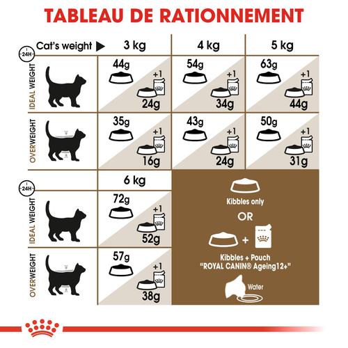 Visuel 6 du produit Croquette pour chat mature stérilisé Royal Canin - 2 kg