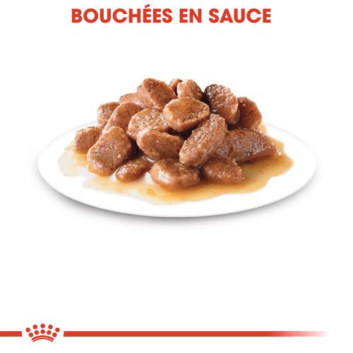 Visuel 4 du produit Pâtées pour chat adulte stérilisé émincés en sauce Royal Canin Sterilised - 12 x 85 g