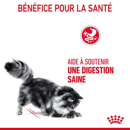 Visuel 9 du produit Croquettes pour chat Digestive Royal Canin Care - 4 kg