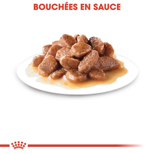 Visuel 3 du produit Pâtées pour chat senior émincés en sauce Royal Canin Ageing +12  - 12 x 85 g