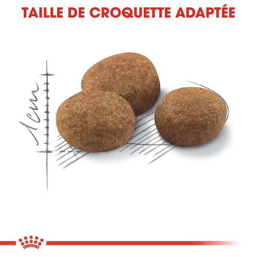 Visuel 3 du produit Croquettes pour chat stérilisé Royal Canin Sterilised 7+ - 3,5 kg