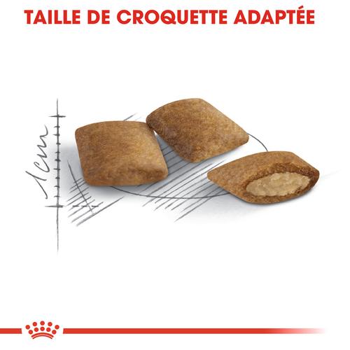 Visuel 3 du produit Croquettes pour chat senior Royal Canin Ageing +12 - 2 kg