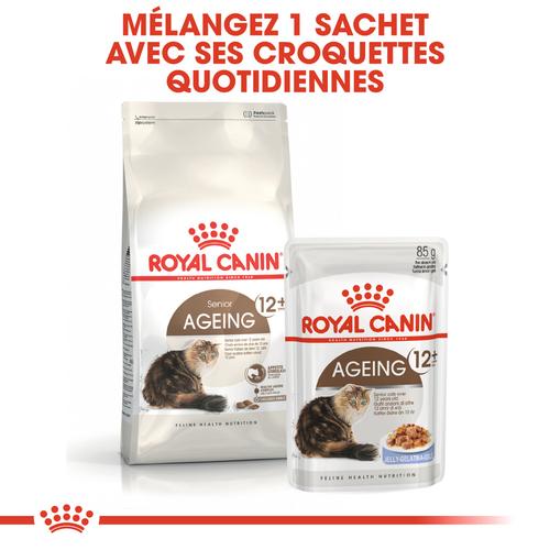 Visuel 4 du produit Croquettes pour chat senior Royal Canin Ageing +12 - 2 kg