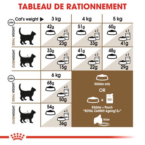 Visuel 7 du produit Croquettes pour chat senior Royal Canin Ageing +12 - 4 kg