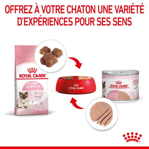 Visuel 3 du produit Pâtée pour chatte en gestation ou allaitante et chaton Mousse Royal Canin Babycat Instinctive - 195 g